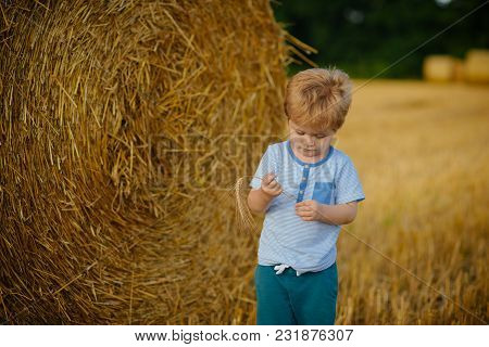 Little Boy With Spikelet At Hay Bale, Summer. Agritourism, Eco Tourism, Vacation, Travelling. Child 