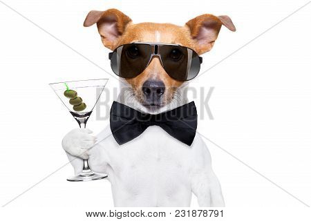 Drunk Jack Russell Dog Toasting  And Drinking A Cocktail  Martini Drink With Olives, Isolated On Whi