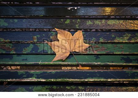 A Dry Autumn Leaf In A Green Bench At The Liberdade Avenue (avenida Da Liberdade) In Lisbon, Portuga