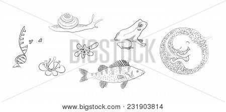 Biological Banner Vector Photo Free Trial Bigstock