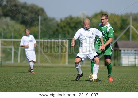 KAPOSVAR, Ungheria - 5 settembre: Attila Kiss (bianco 5) in azione presso i campioni nazionali ungheresi
