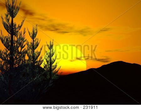 Wald-Sonnenuntergang