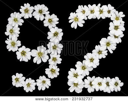 Arabic Numeral 92, Ninety Two, Ninety, Nine, Two, From White Flowers Of Cerastium Tomentosum, Isolat