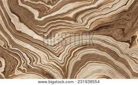 Texture Of Roots Of Tree With Wavy Lines And Age Rings. Abstract Background. 2d Illustration