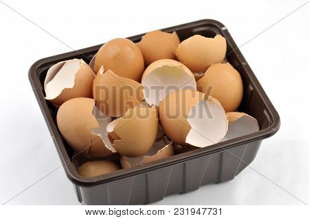 Kitchen Waste