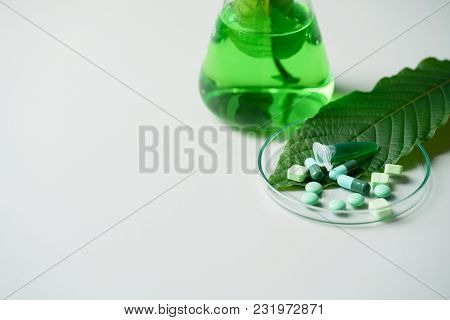 Mitragyna Speciosa Korth (kratom) Drug Plant With Pills In The Laboratory Research.