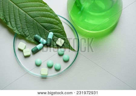 Mitragyna Speciosa Korth (kratom) Drug Plant With Pills In The Laboratory Research.