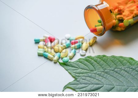 Mitragyna Speciosa Korth (kratom) Drug Plant With Pills In The Laboratory Research.