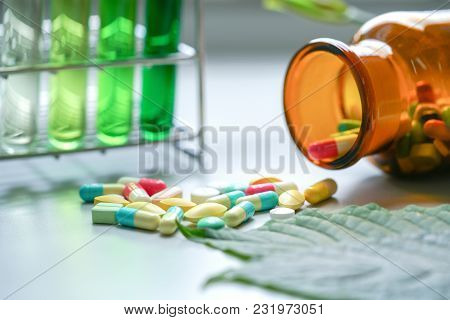 Mitragyna Speciosa Korth (kratom) Drug Plant With Pills In The Laboratory Research.