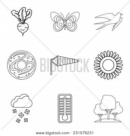 Wheat Variety Icons Set. Outline Set Of 9 Wheat Variety Vector Icons For Web Isolated On White Backg