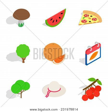 Vegetarian Pastries Icons Set. Isometric Set Of 9 Vegetarian Pastries Vector Icons For Web Isolated 