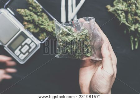 The Man Twists The Canth From Fresh Marijuana