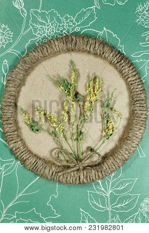 Herbarium. Melilot. Dry Plants In Framework Made Of Jute Thread. Scrapbooking. Dried Flower.