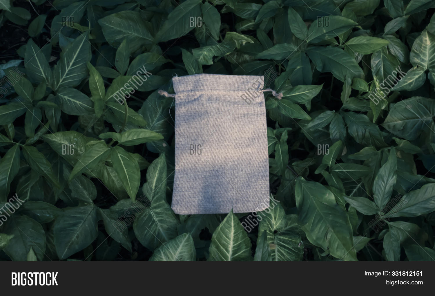 Dollar tree reusable bags