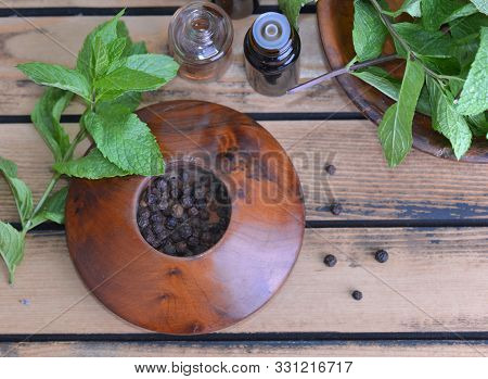 Essential Oil From Peppermint In Bottle And Fresh Leaf Of Mint With Pepper In Bowl