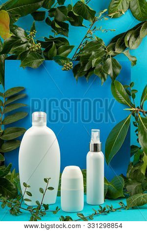 Background With Green Leaves And Plants And Bottle Of Cosmetic. Natural Scin Care Concept. Copy Spac