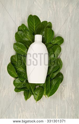 Background With Green Leaves And Plants And Bottle Of Cosmetic. Natural Scin Care Concept. Copy Spac