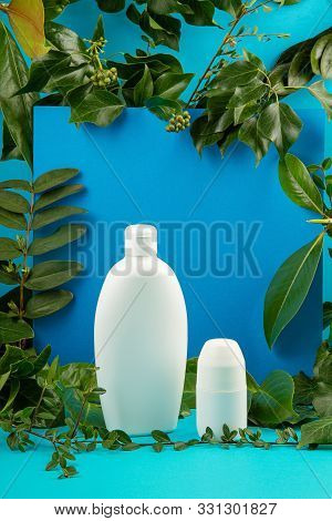 Background With Green Leaves And Plants And Bottle Of Cosmetic. Natural Scin Care Concept. Copy Spac