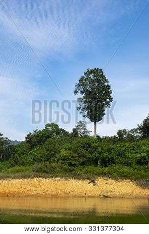 Beautiful Nature Of Tropical Rain-forest At Royal Belum State Park, Perak Malaysia.