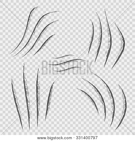 Black Realistic Claws Animal Scratch Scrape Track. Cat Tiger Scratches Paw Shape. Four Nails Trace.