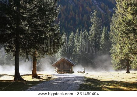 Old wooden cabin in a misty forest, Val di Fanes, Dolomites, Italy
