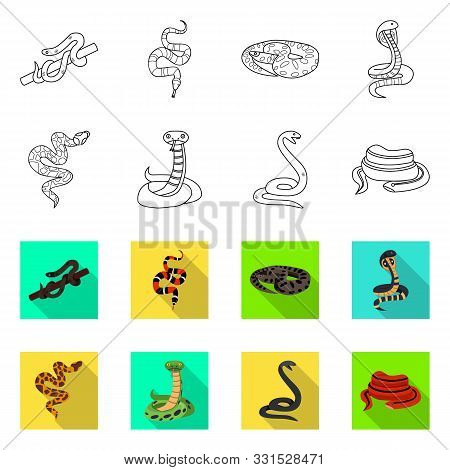 Isolated Object Of Snake And Creepy Logo. Collection Of Snake And Wildlife Stock Symbol For Web.
