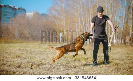A Man Training His German Shepherd Dog On The Training Field Outdoors