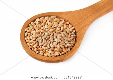 Raw Wheat Grain In Woodenspoon Isolated On White Background