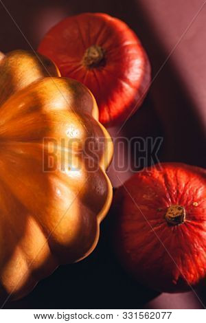 Stock Photo Pumpkin Close-up, Assorted Pumpkins. Big And Small Size Pumpkins And Different Colors, O