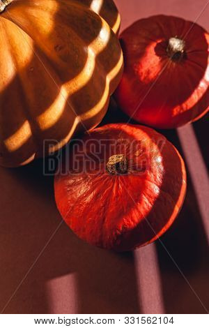 Stock Photo Of A Pumpkin On A Brown Background With Place For Text. Varietal Seasonal Pumpkins.