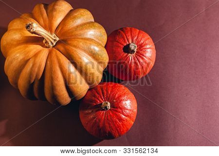 Stock Photo Of A Pumpkin On A Brown Background With Place For Text. Varietal Seasonal Pumpkins.