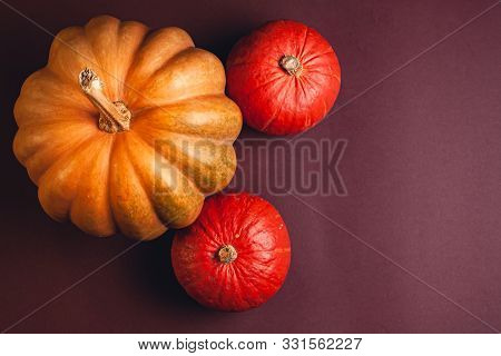 Stock Photo Of A Pumpkin On A Brown Background With Place For Text. Varietal Seasonal Pumpkins.