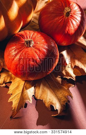 Autumn Composition Of Pumpkins And Yellow Leaves. Stock Photo Of Pumpkins On Dry Leaves.