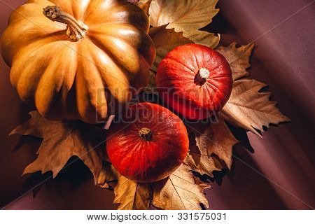 Autumn Composition Of Pumpkins And Yellow Leaves. Stock Photo Of Pumpkins On Dry Leaves.