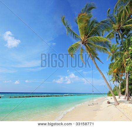 Strandszene mit einem Schwung auf einer Palme an einem sonnigen Tag auf Kuredu Island Malediven, Lhaviyani atoll