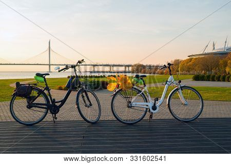Two Bikes With Yellow Leaves On The Trunk. Krestovsky Island . Saint Petersburg.