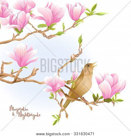Magnolia Tree Branch With Flowers And Nightingale Template For Wedding Invitation, Greeting Card, Ba