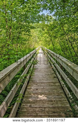 Boardwalk At The Loda Lake National Wildflower Sanctuary In Michigan