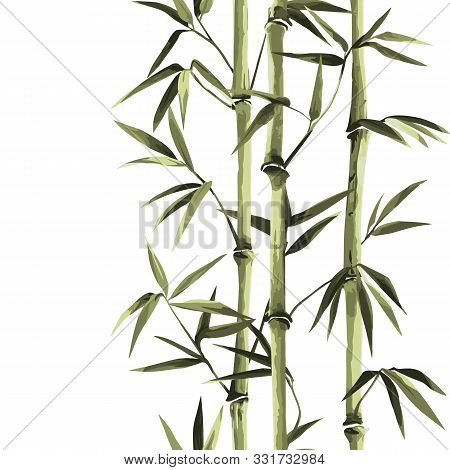 Bamboo Seamless Vertical Border On White Background