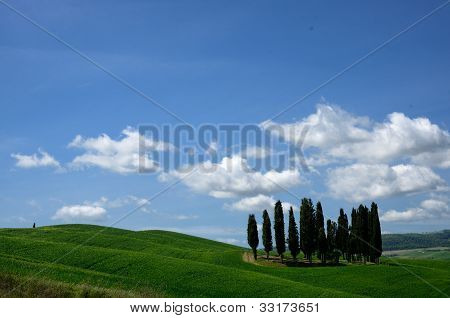 Crete Senesi
