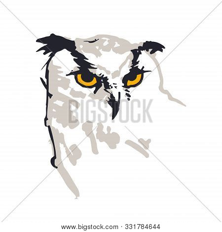 Owl Illustration. Digitalized Sketches. Ink Brush-pen And Markers On Paper. Black, Greys And Yellow.