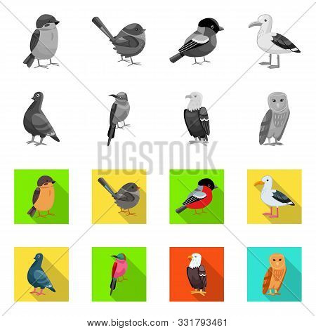 Vector Design Of Animal And Wild Symbol. Set Of Animal And Natural Stock Symbol For Web.