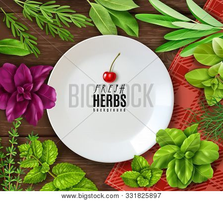 Spices Herbs Poster. Realistic Fresh Herbs Poster, Isolated Objects, Popular Culinary Plants, Natura