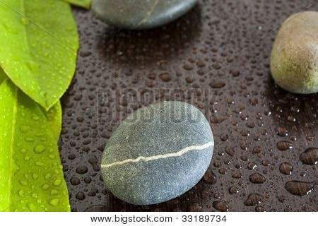 leaves and stones