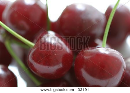 Ciliegie su steli