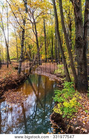 A Scenic Autumn View Of Millbrook In Manalapan New Jersey.