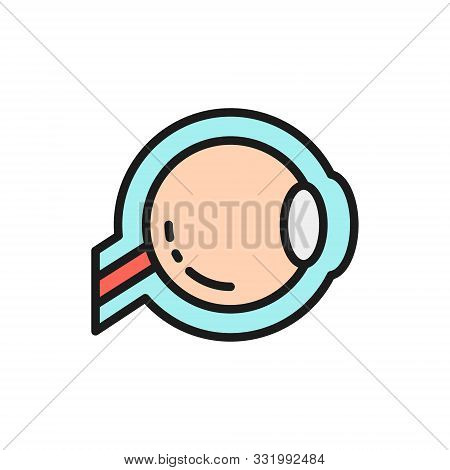 Eyeball, Optic Nerve Flat Color Line Icon.