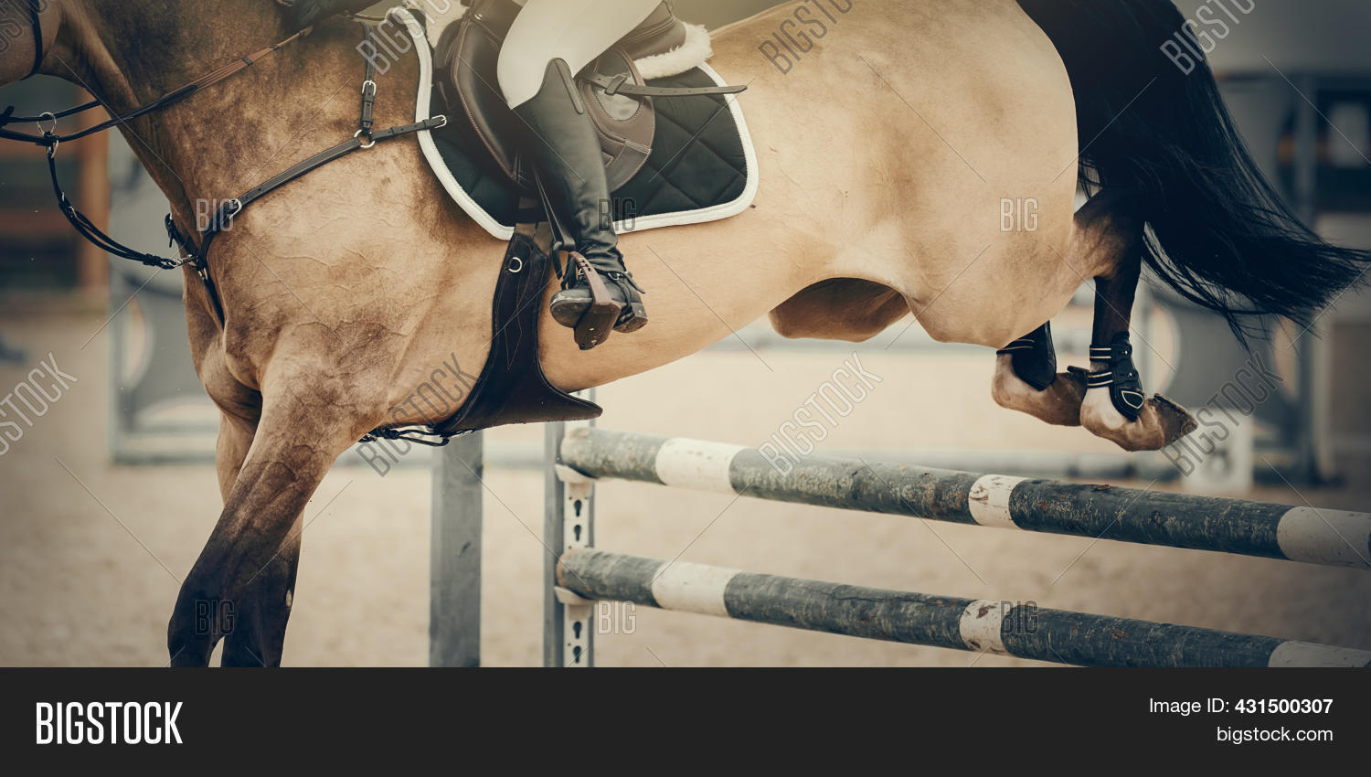 Shod Hooves Horse Over Image & Photo (Free Trial) Bigstock