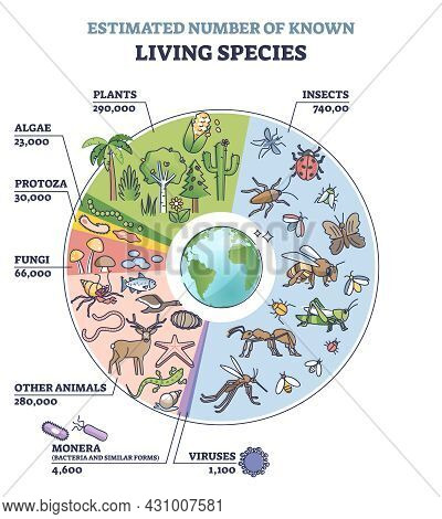 Classification Of Plant Kingdom With Estimated Species Count Outline Diagram. Labeled Educational Li