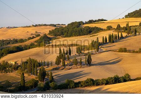 Cipressi di Monticchielo, Typical Tuscan landscape near Montepulciano, Italy